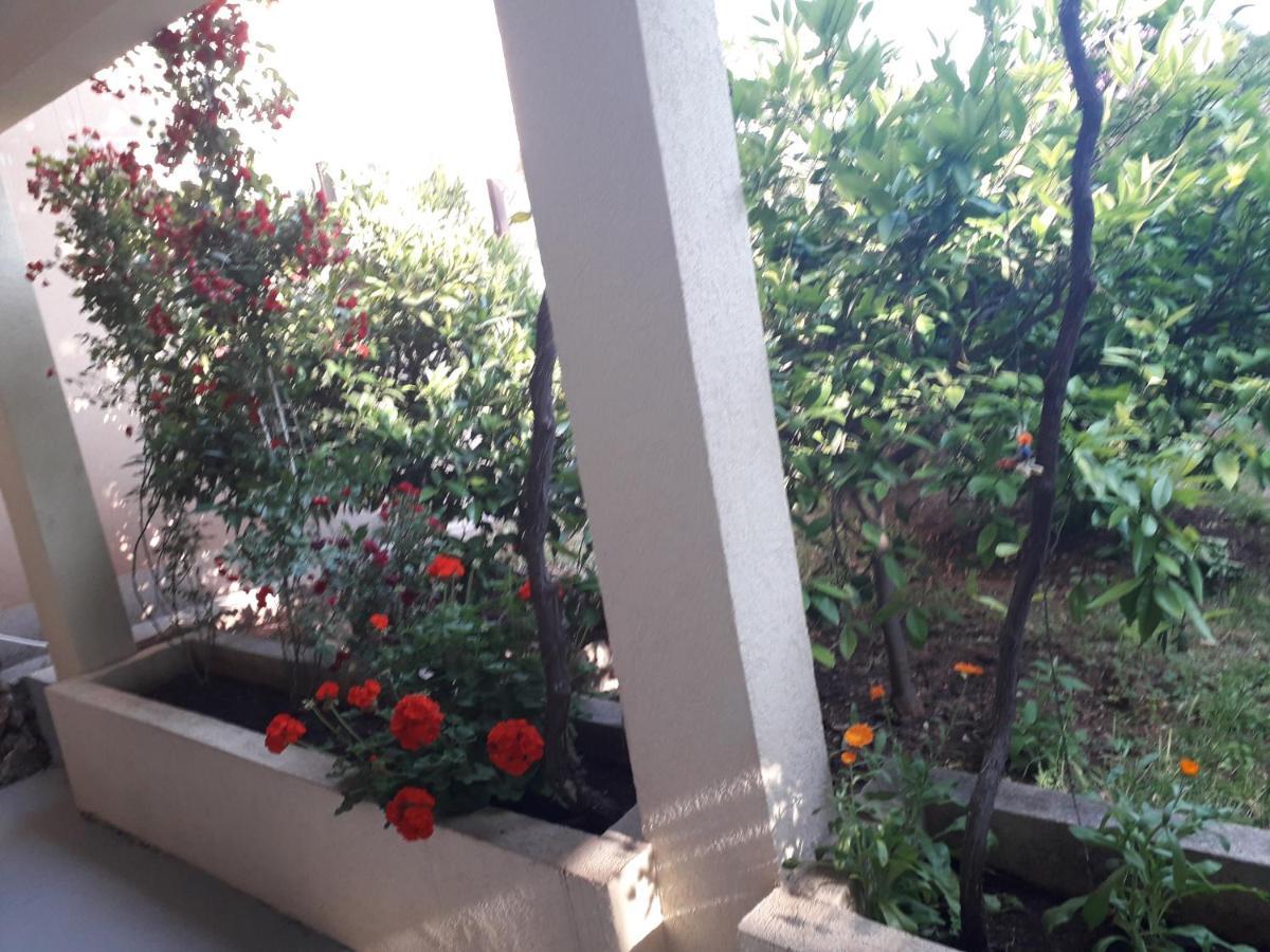 Apartments Petković Petrovac Buitenkant foto