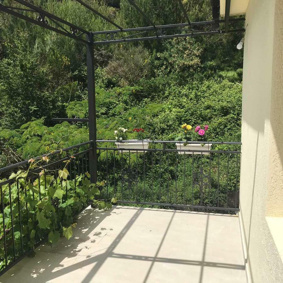 Apartments Petković Petrovac Buitenkant foto