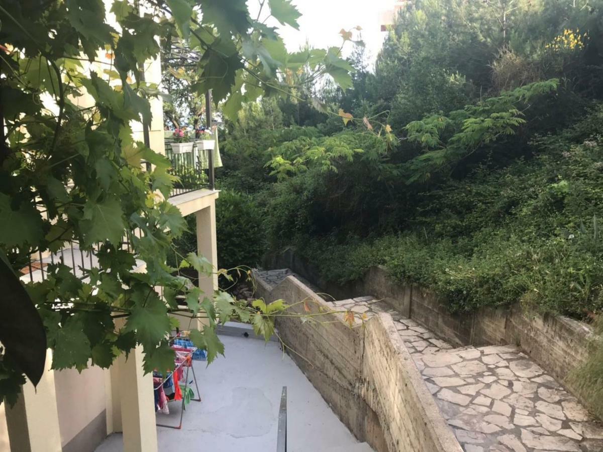 Apartments Petković Petrovac Buitenkant foto